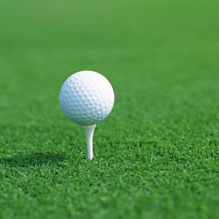 artificial golf turf