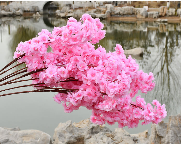 pink cherry blossom flower